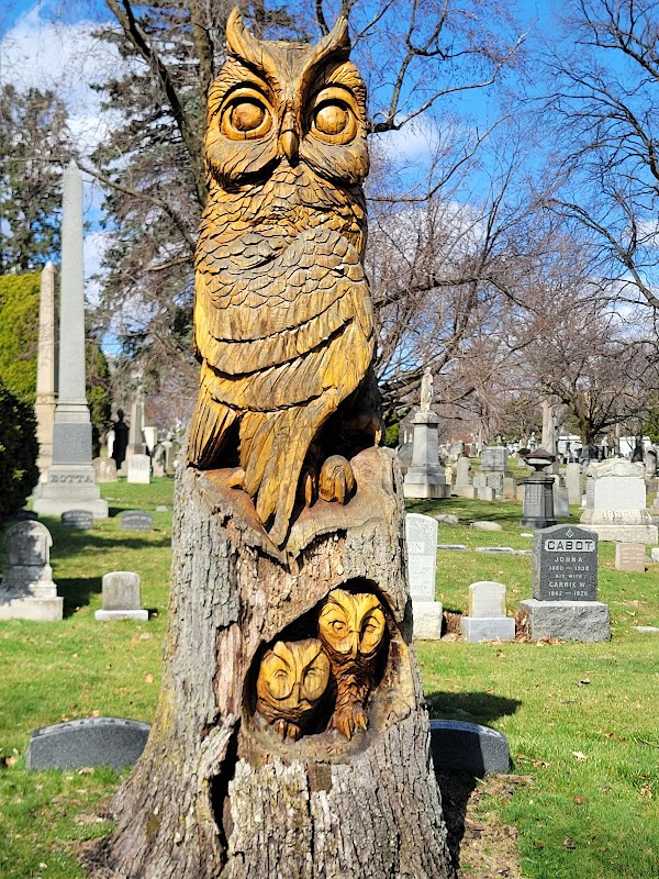 Woodlawn Cemetery • Conservancy grounds