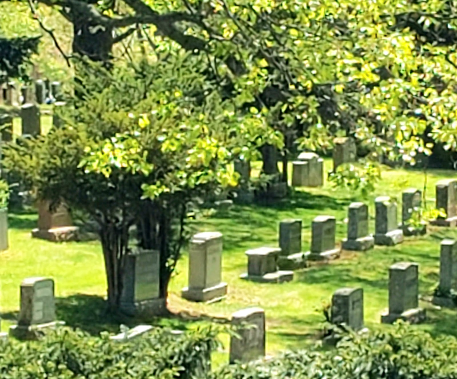 Woodlawn Cemetery • Conservancy headstone and grounds