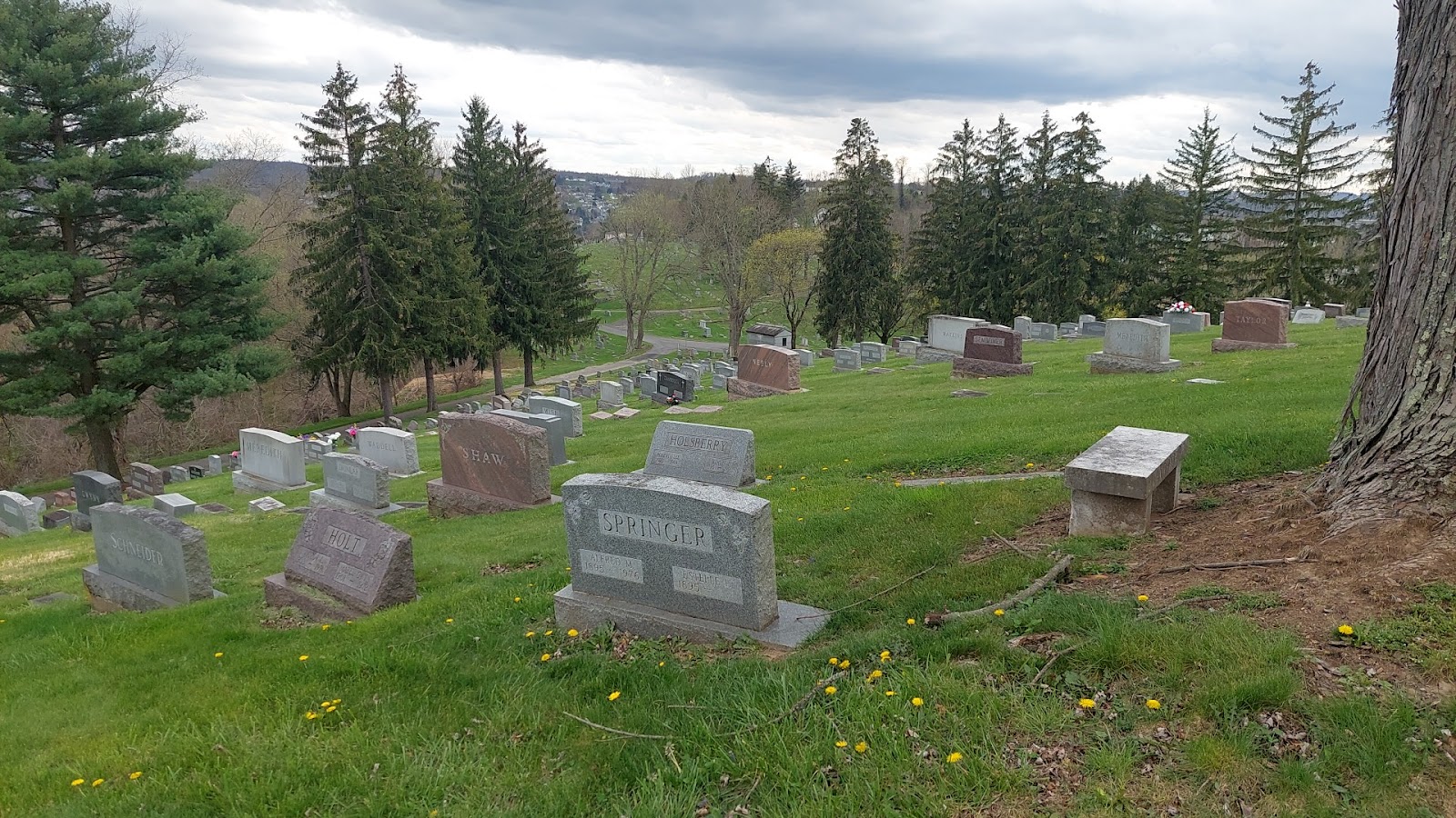 Woodlawn Cemetery cemetery grounds and headstones