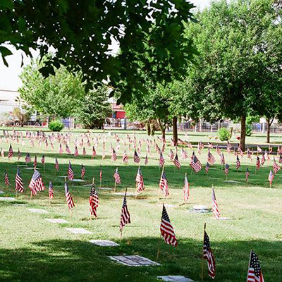 Woodlawn Cemetery grounds