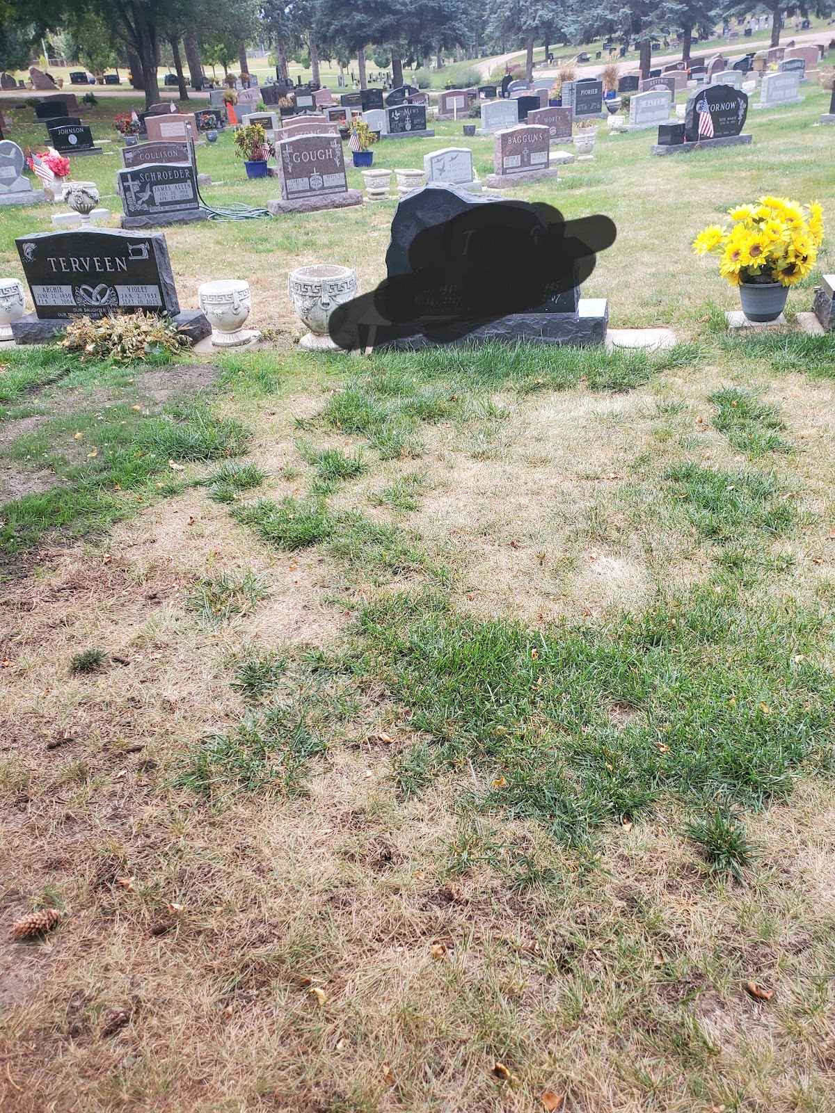 Woodlawn Cemetery cemetery grounds and headstones