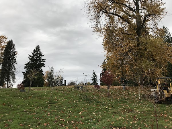 Woodlawn Cemetery grounds