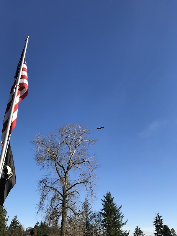 Woodlawn Cemetery grounds