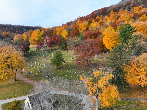 Woodlawn Cemetery grounds