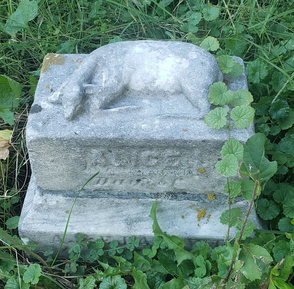 Woodlawn Cemetery grounds