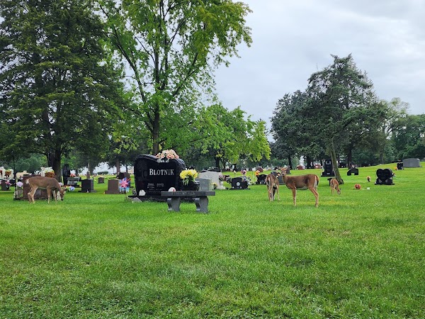 Woodlawn Memorial Park grounds