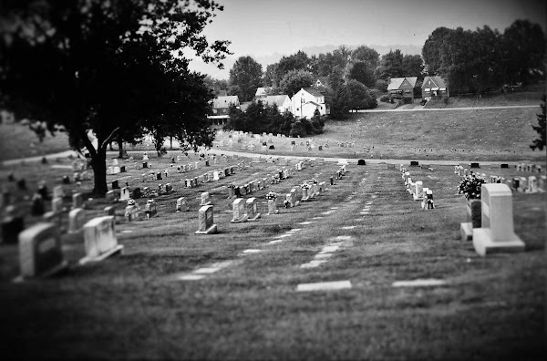 Woodmere Memorial Park grounds