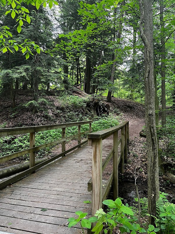 Wooster Memorial Park (formerly Spangler) grounds