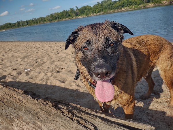 Wyman Memorial Park - Benton County Conservation grounds