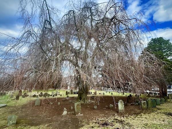 Ye Antientist Burial Ground, New London grounds