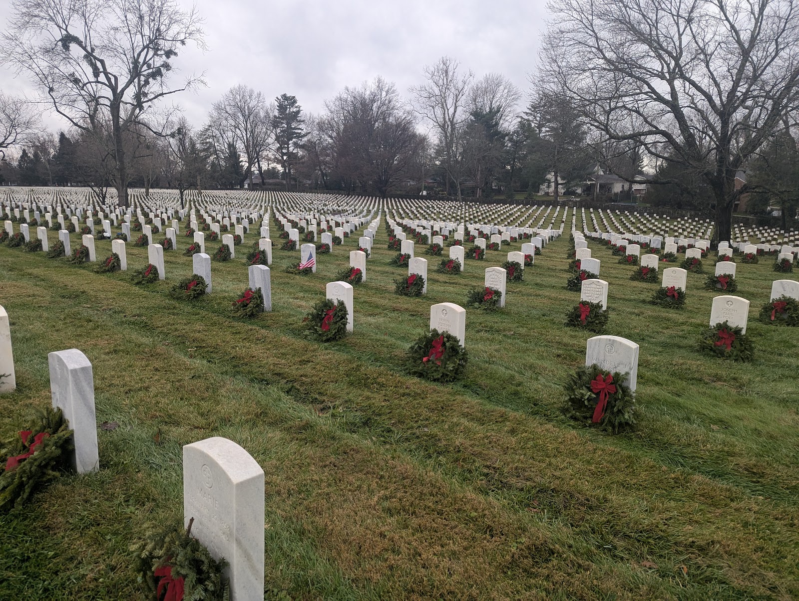 Zachary Taylor National Cemetery cemetery grounds and headstones
