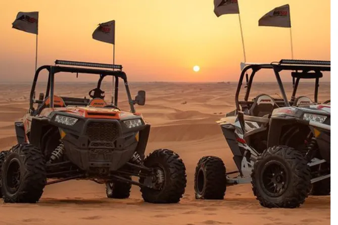 Evening Desert Safari with 30 Min Dune Buggy - Image 3