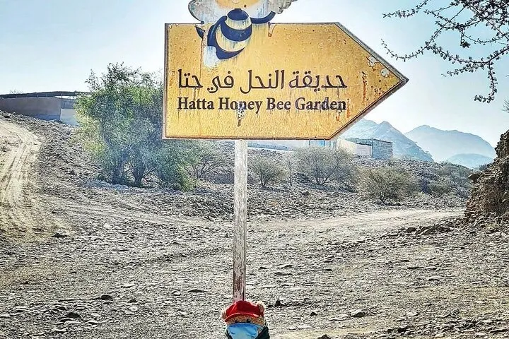 Hatta Mountain Tour - Image 4