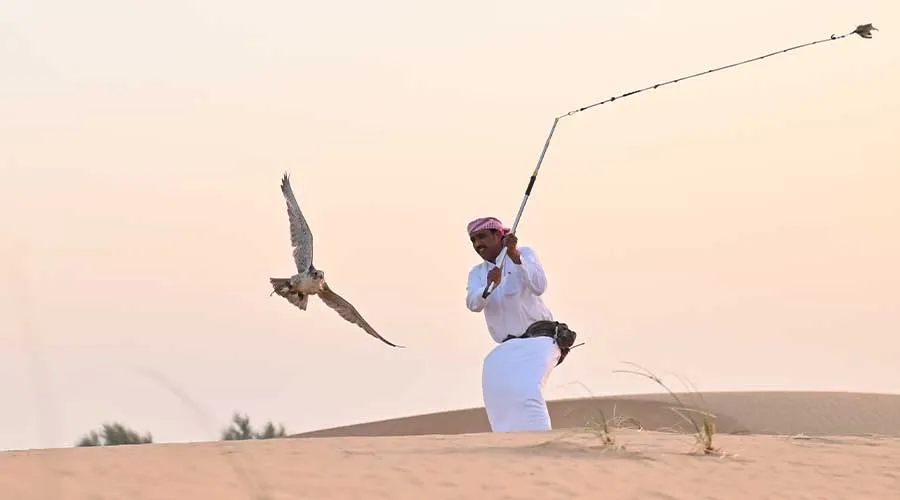 57 Morning Falcon Show - Image 2