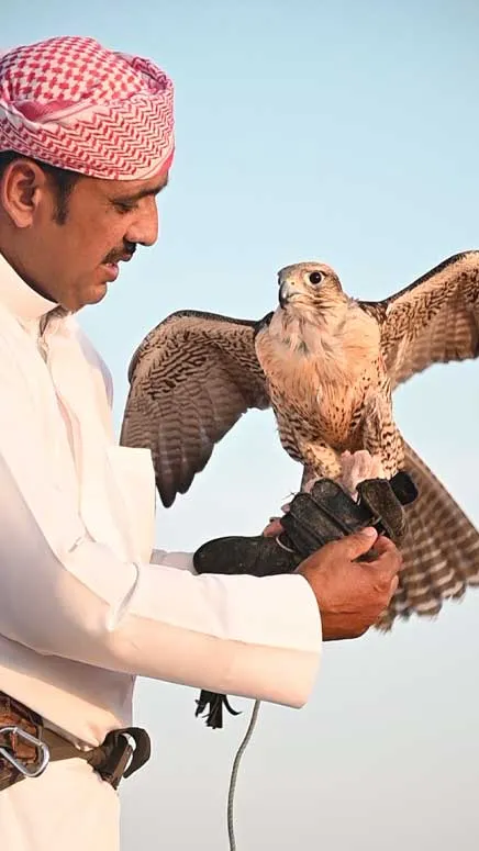 57 Morning Falcon Show - Image 3