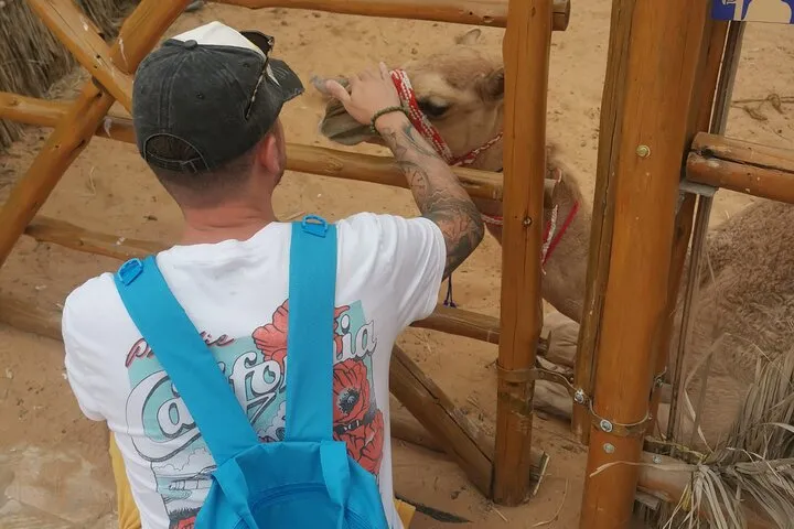 Historical Dubai Walking Tour with Local - Image 4