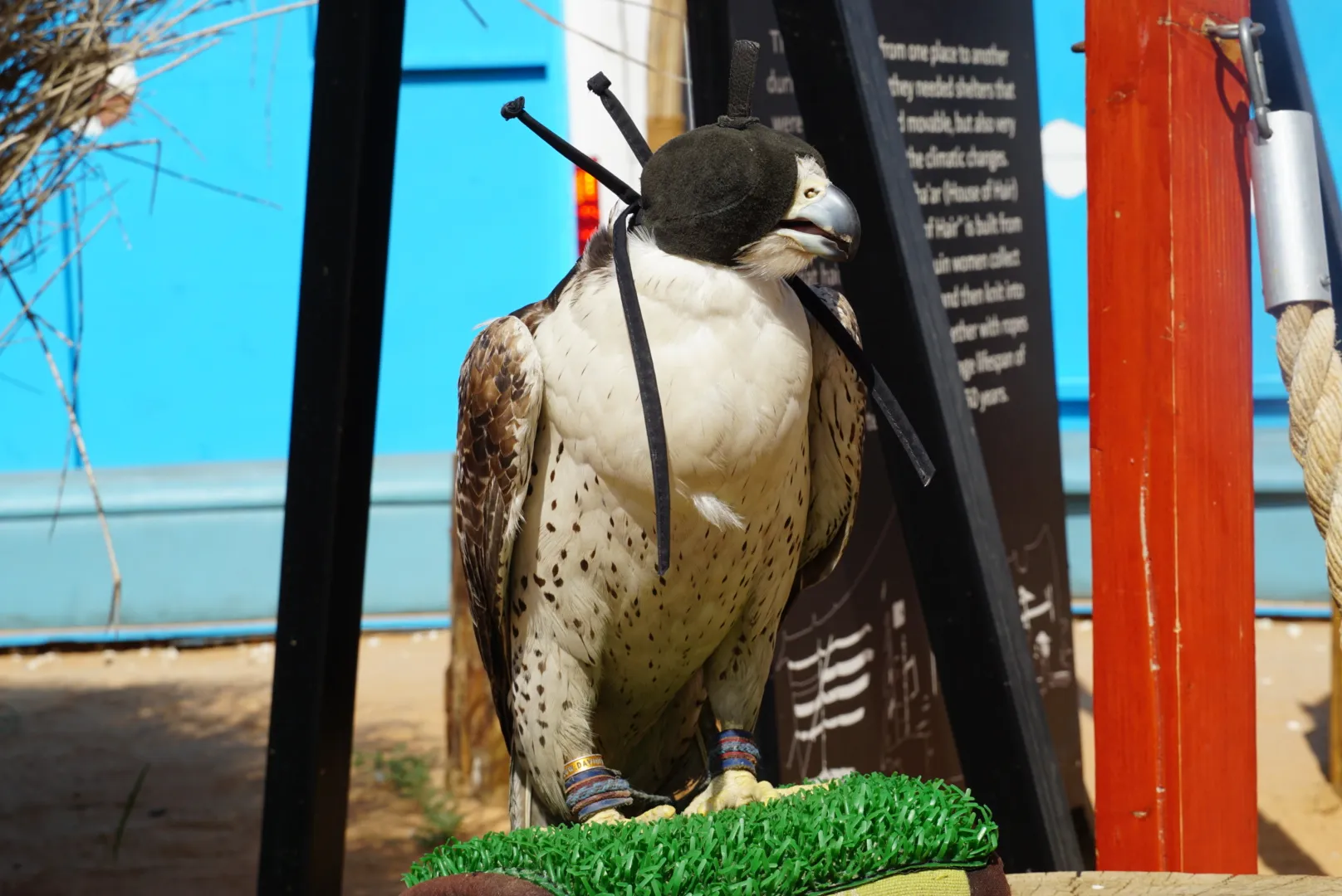 Dubai Aladdin Tour: Souks, Creek, Old Dubai and Tastings - Image 3