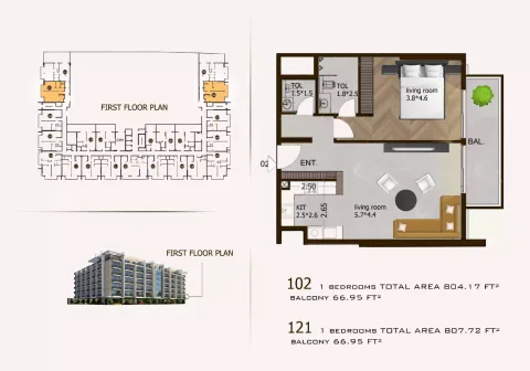 Floor plan, 1 Bed, 804 sq ft