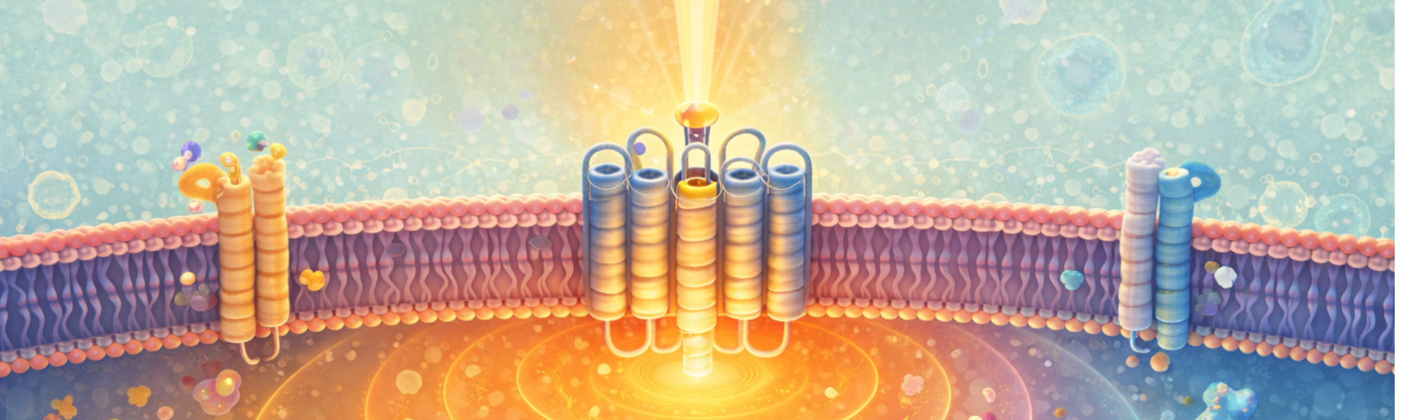 Temporal photoproximity labeling of ligand-activated EGFR neighborhoods using MultiMap