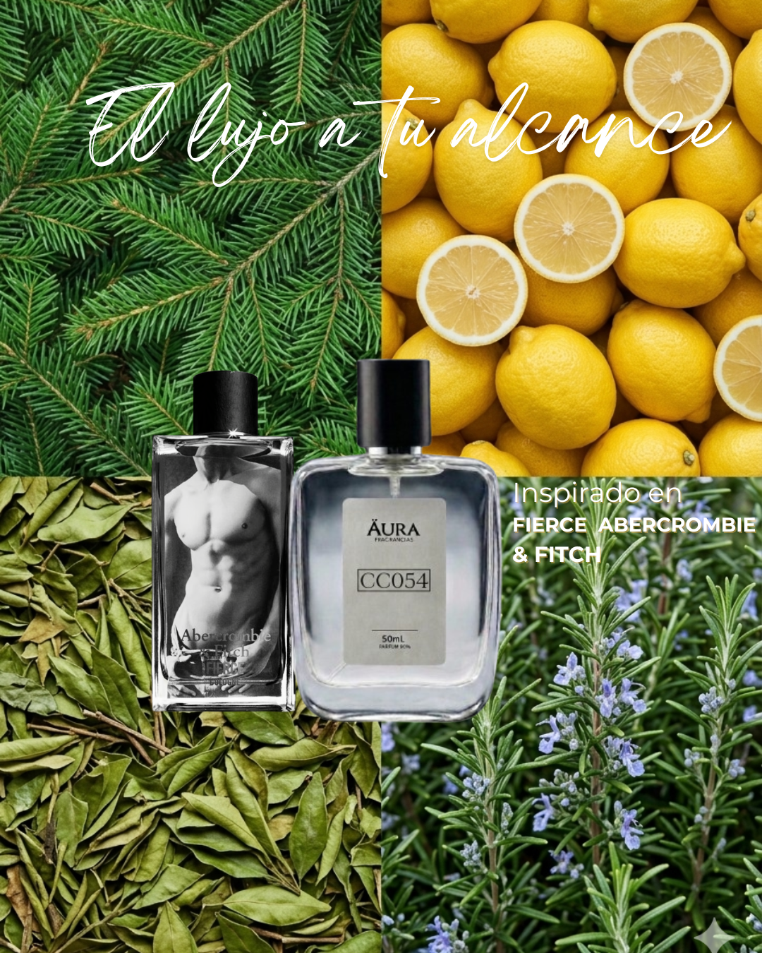 FIERCE ABERCROMBIE & FITCH — inspiración FIERCE ABERCROMBIE & FITCH