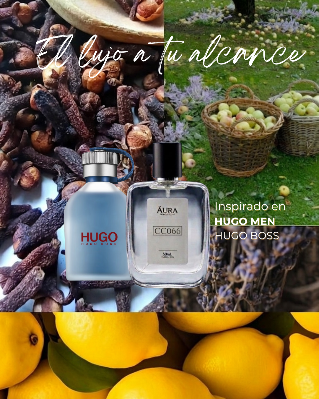 HUGO MEN — inspiración HUGO BOSS