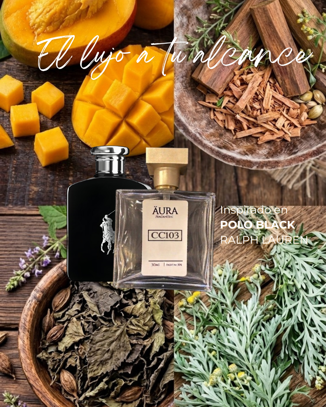 POLO BLACK — inspiración RALPH LAUREN