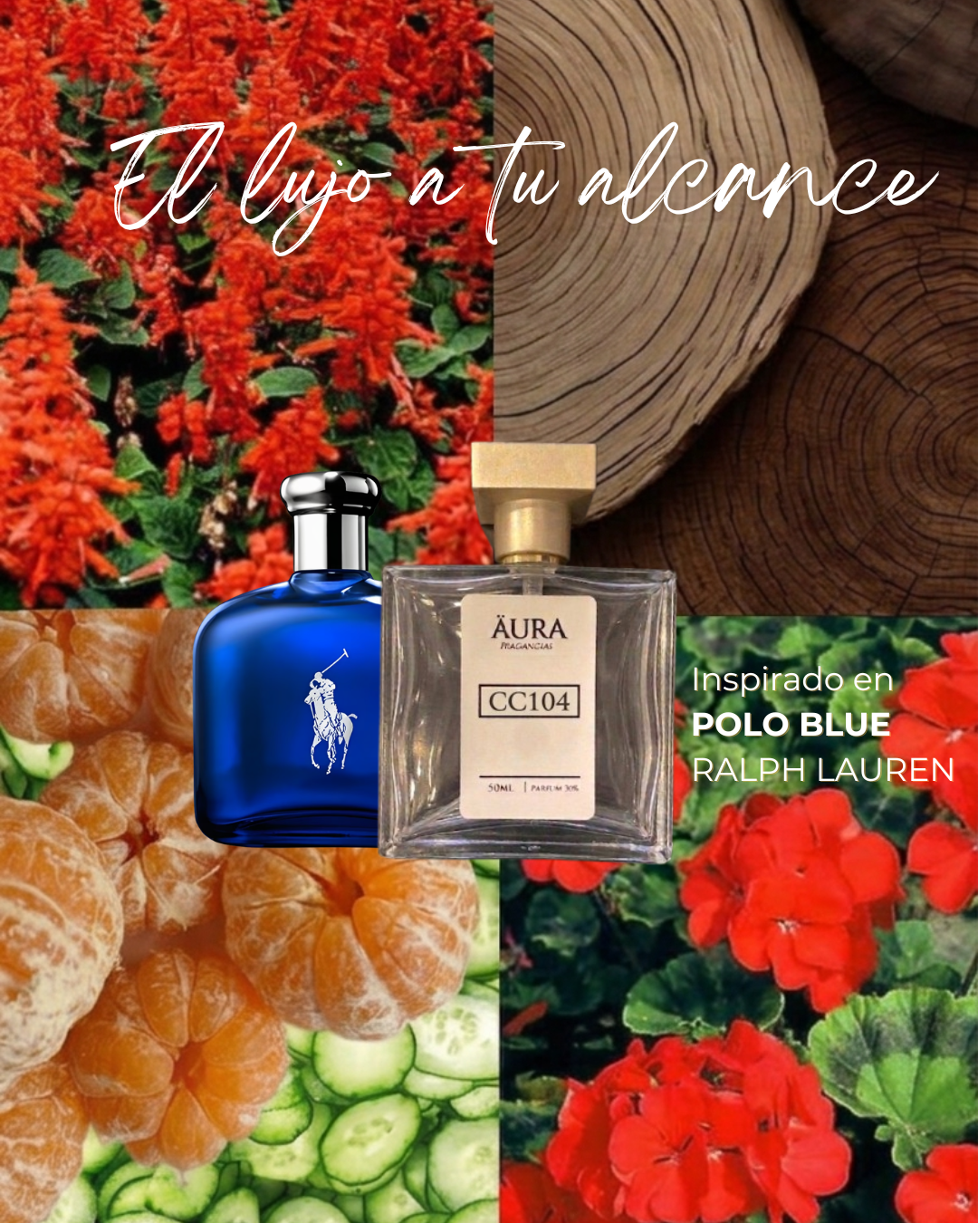 POLO BLUE — inspiración RALPH LAUREN
