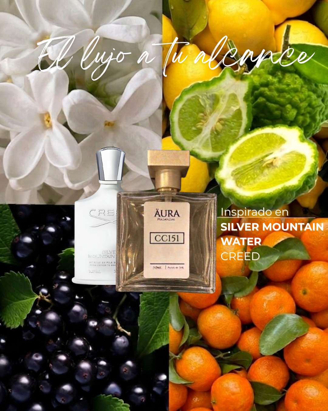 SILVER MOUNTAIN WATER — inspiración CREED