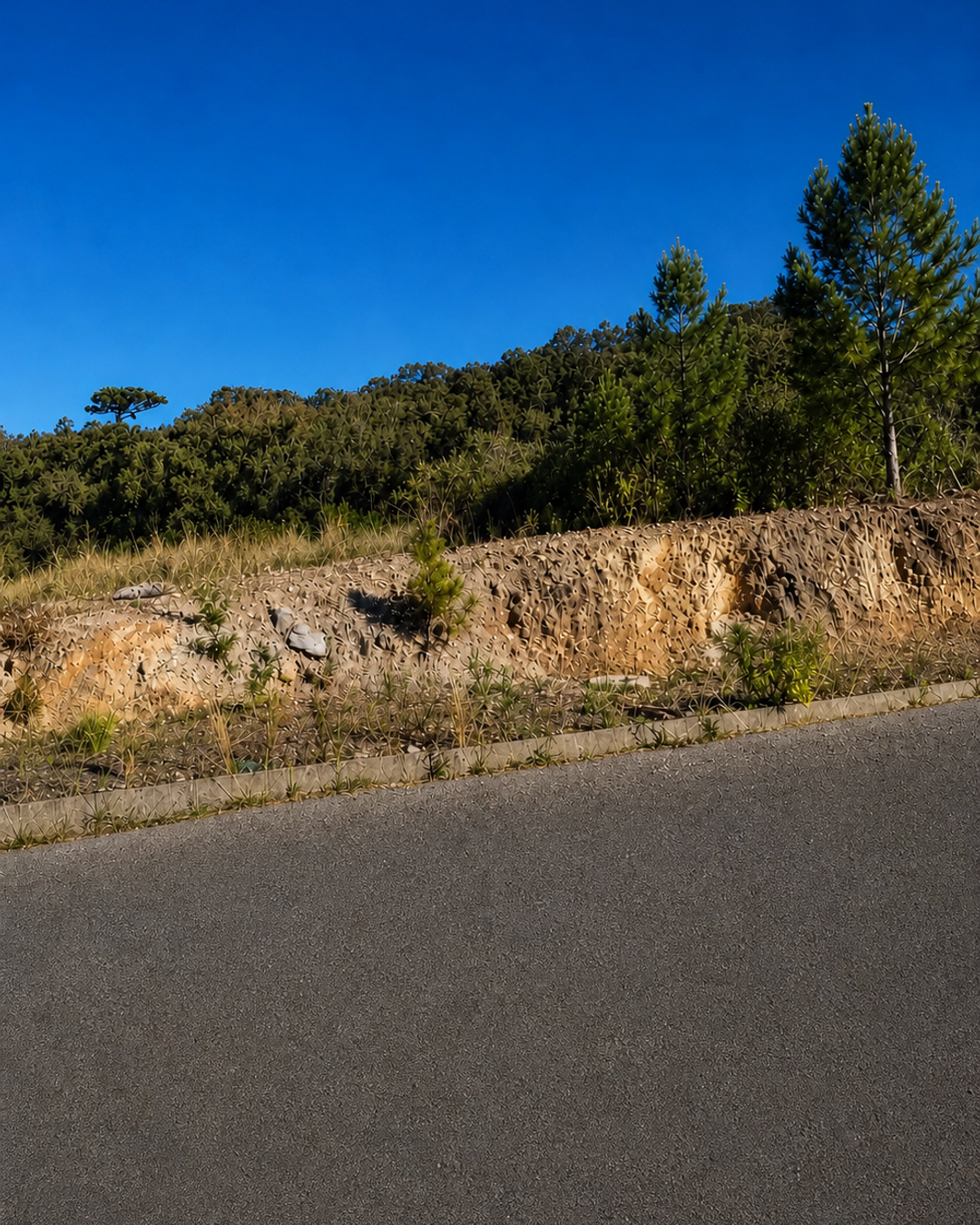 348 m² para construir em Flores da Cunha