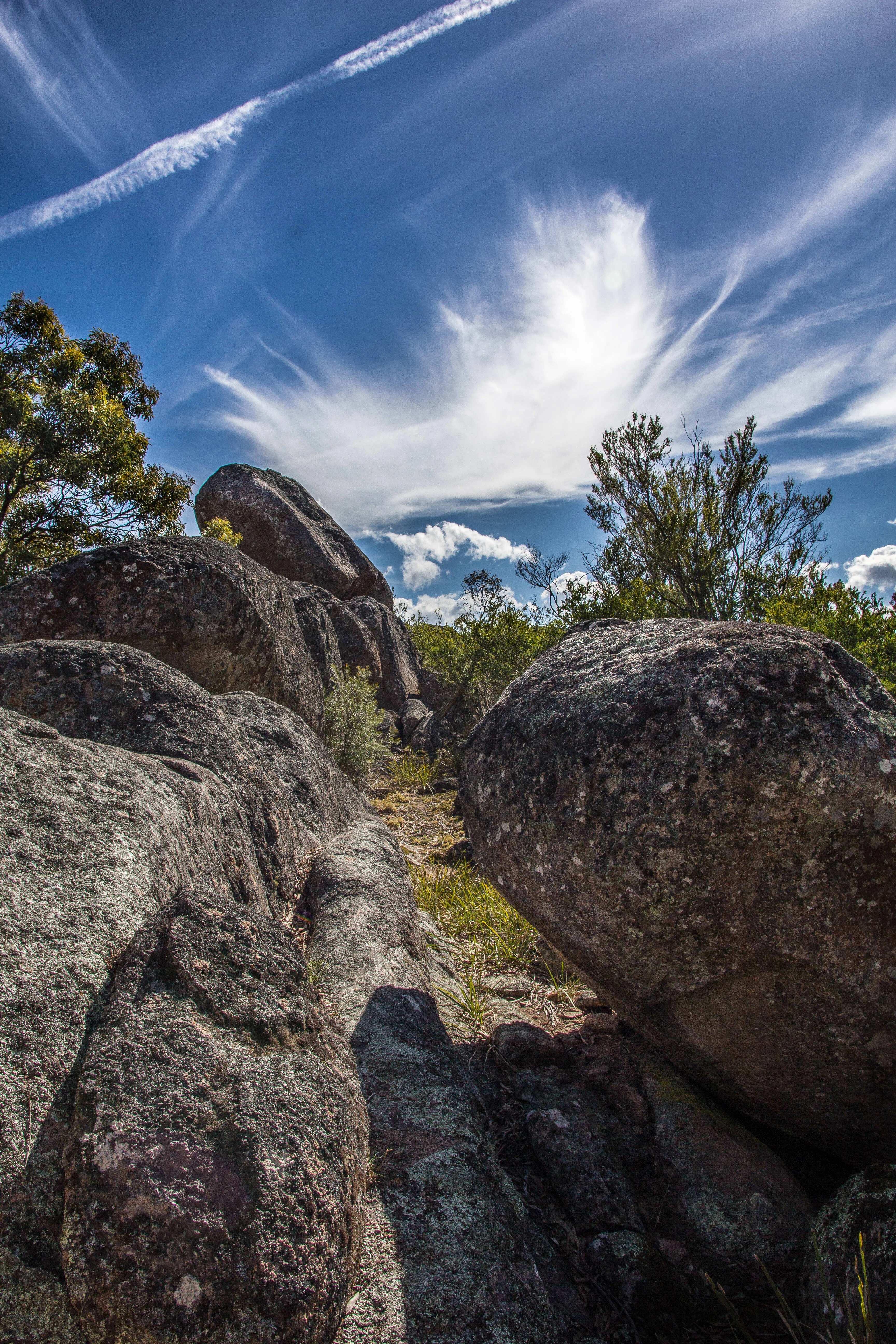 Evans Crown Reserve