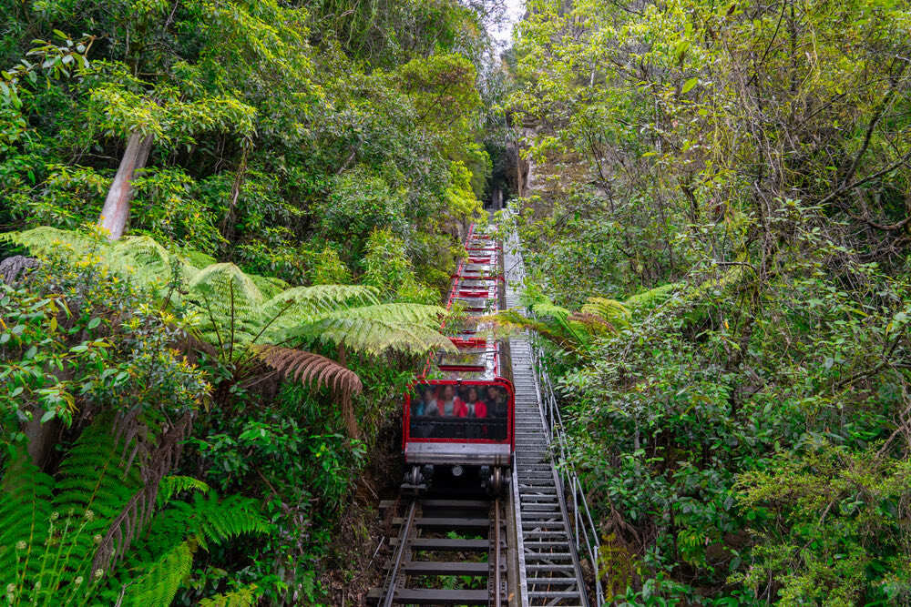 Scenic World