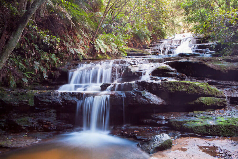 Leura Cascades