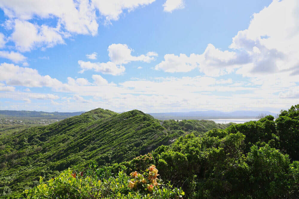 Cape Byron State Conservation