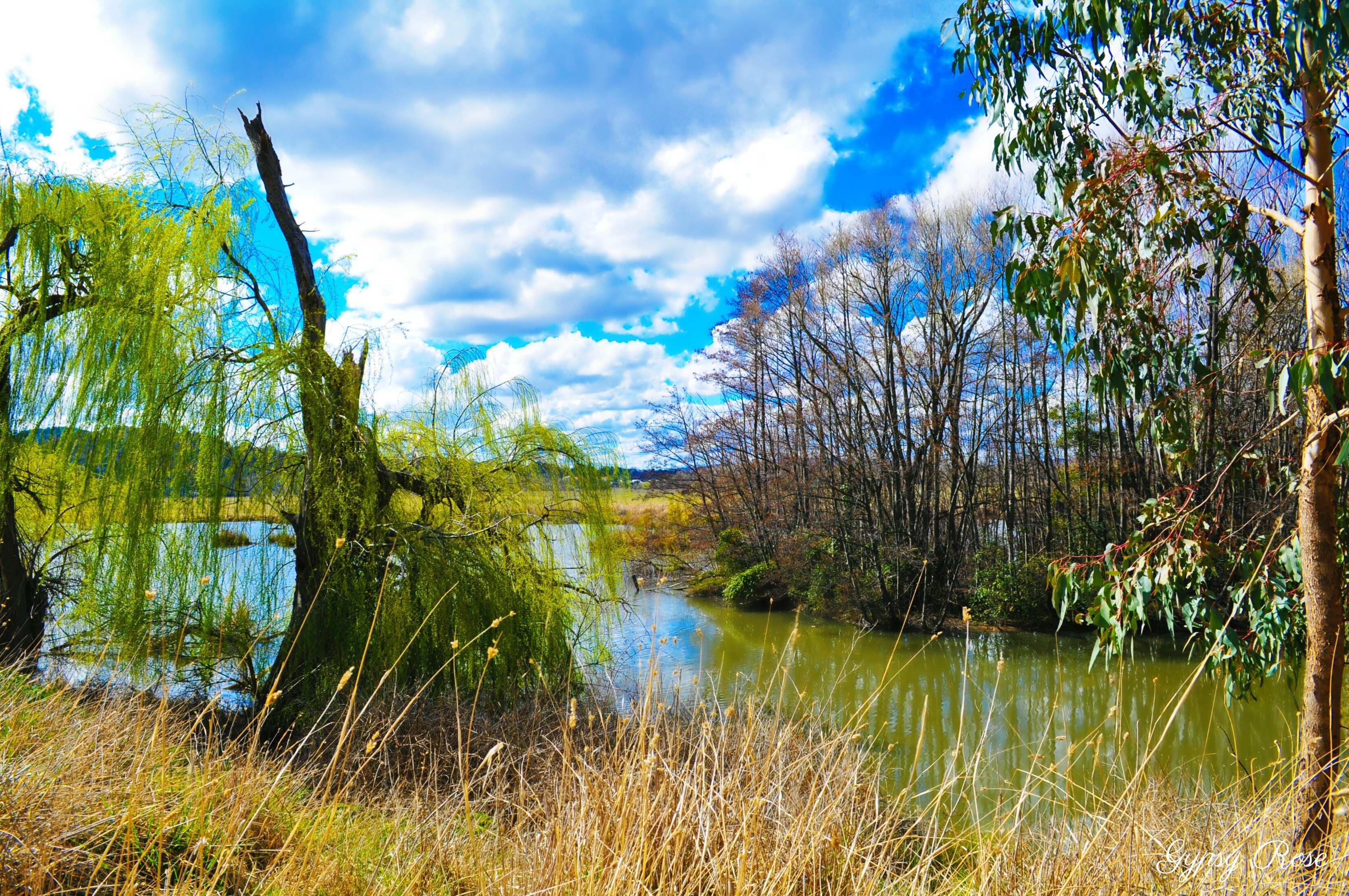 Jerrabomberra Wetland