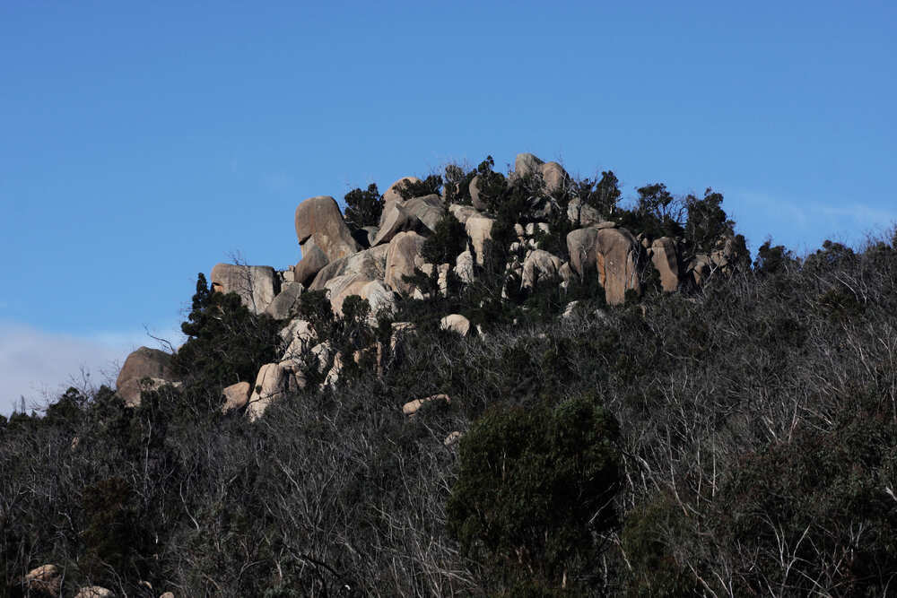 Tidbinbilla Nature Reserve