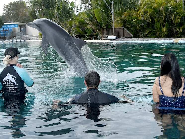 Dolphin Marine Conservation Park
