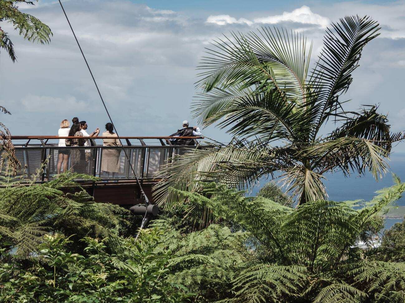 Forest Sky Pier