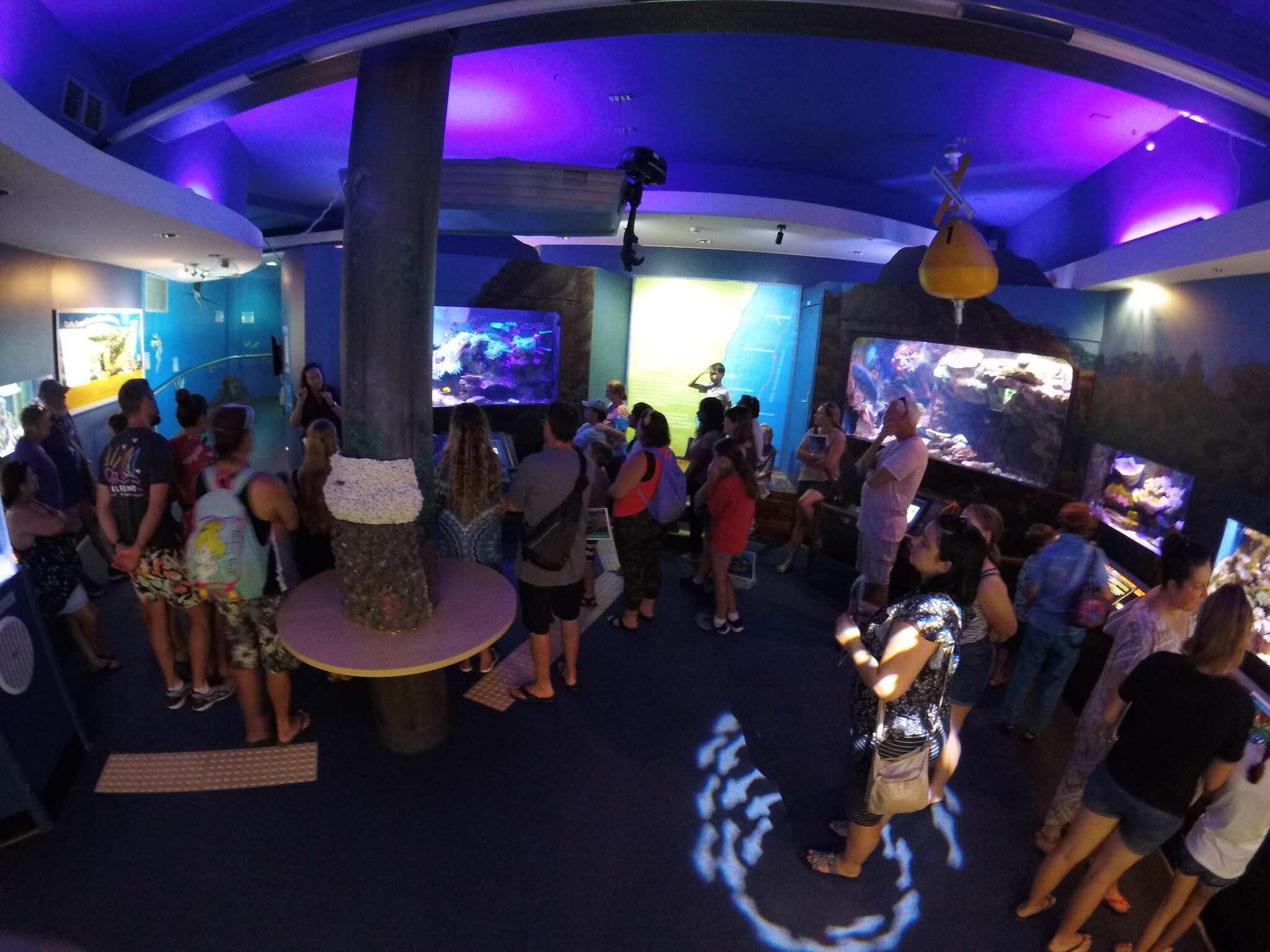 Solitary Islands Aquarium