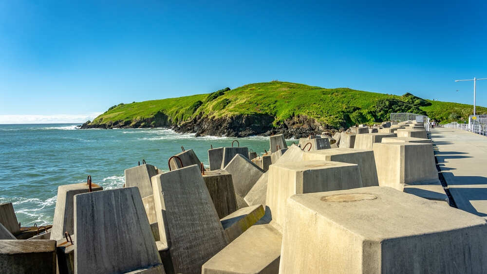 Muttonbird Island