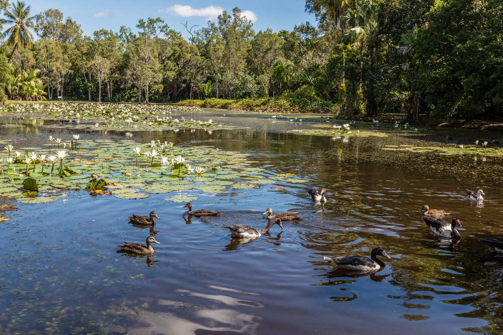North Coast Regional Botanic Garden