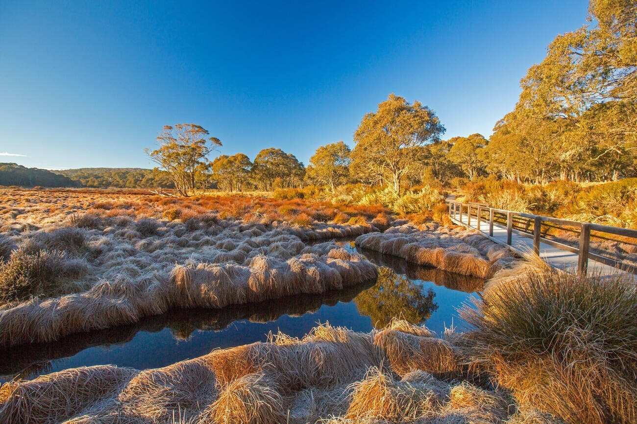 Barrington Tops National Park