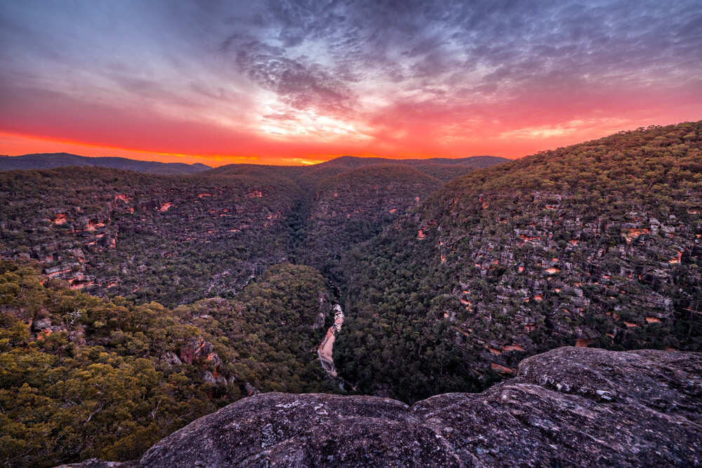 Wollemi National Park