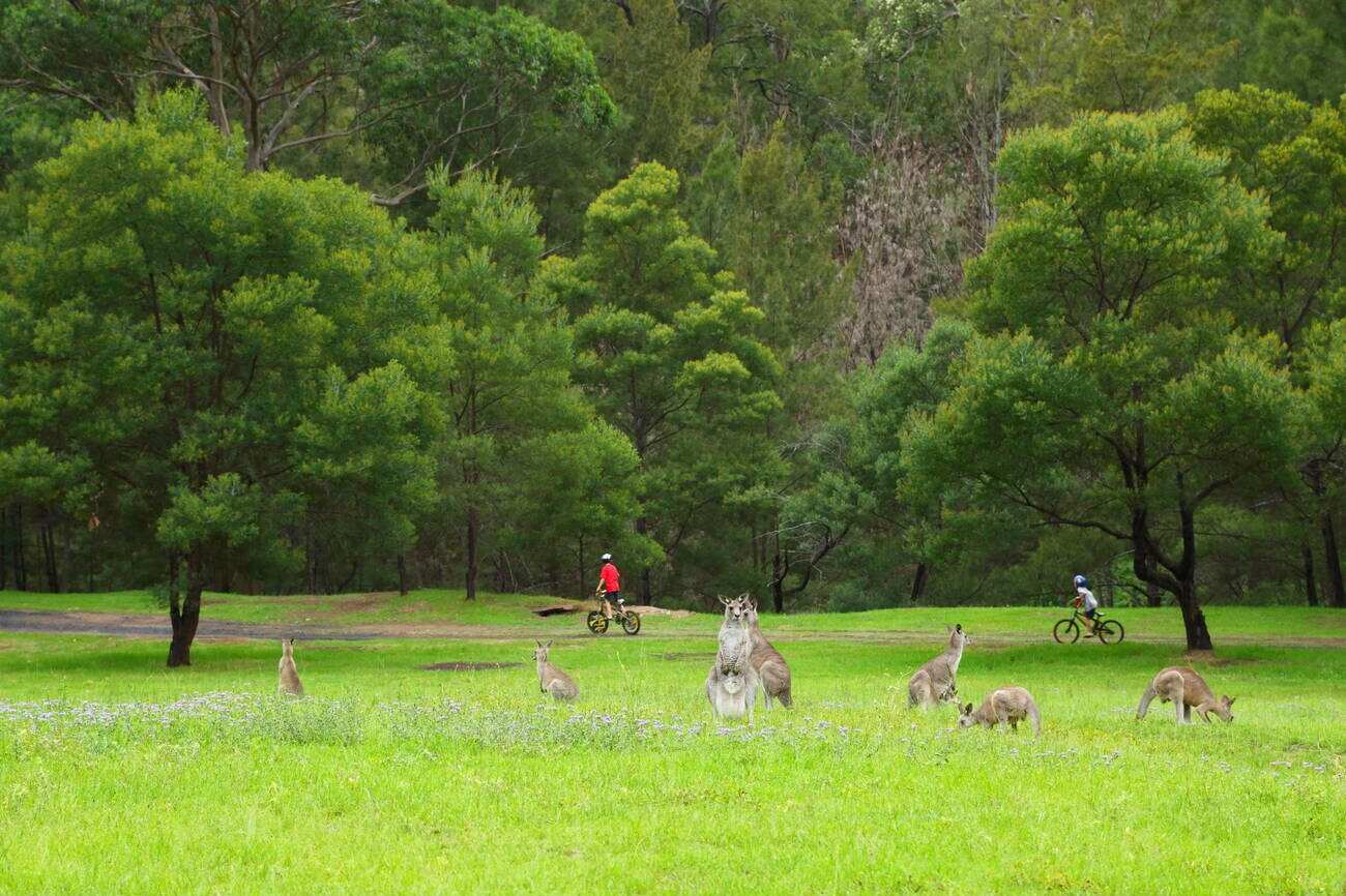 Wollemi National Park