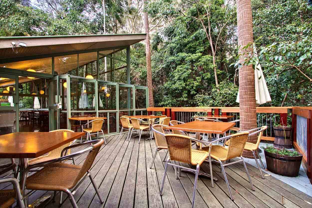 Sea Acres Rainforest Centre