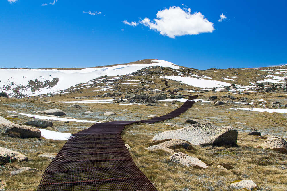 Kosciuszko National Park
