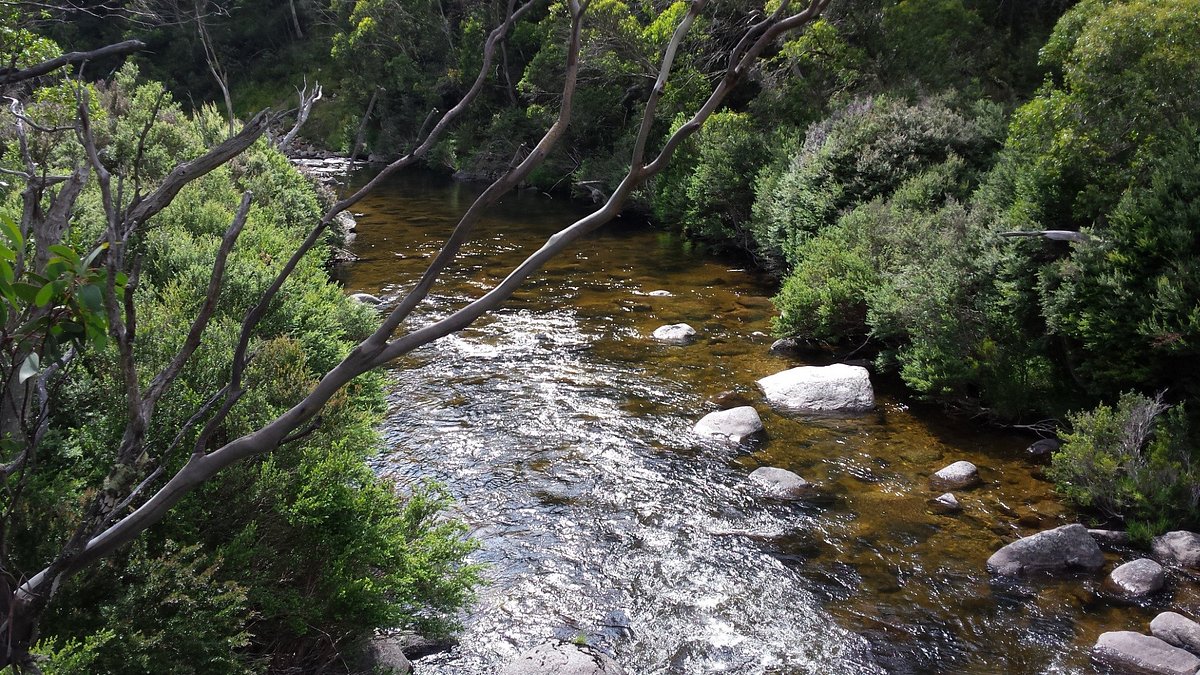 Thredbo Valley Track