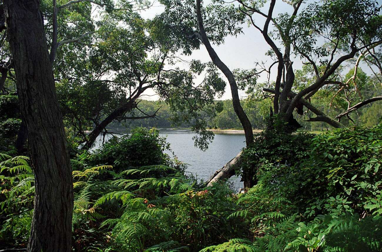 Jervis Bay Marine Park