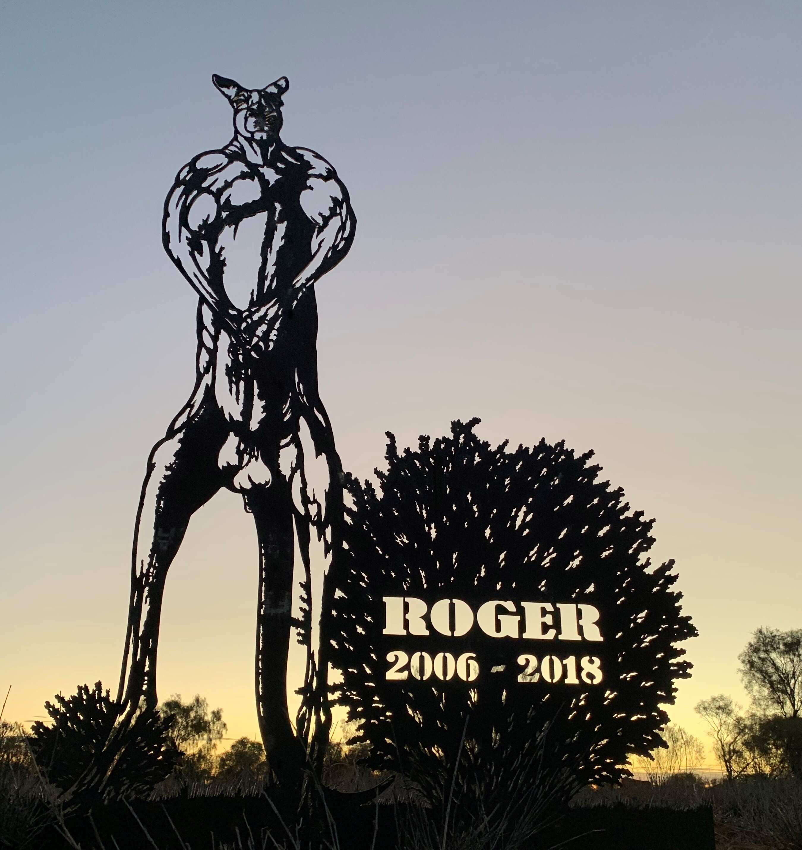 The Kangaroo Sanctuary