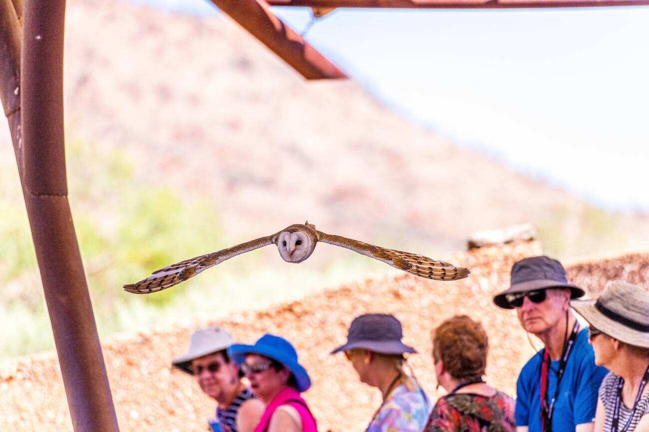 Alice Springs Desert Park