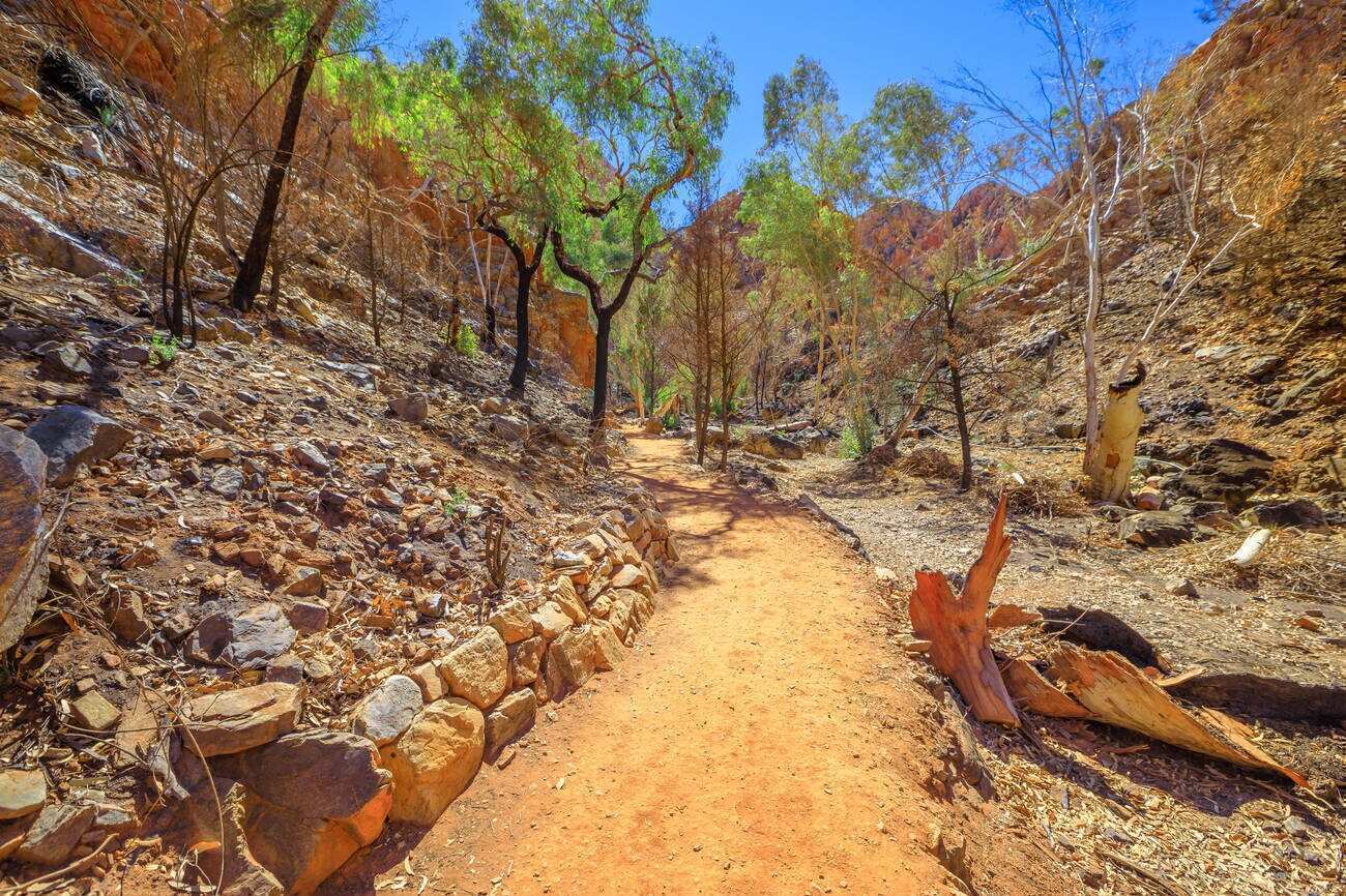 The Larapinta Trail